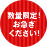 数量限定！お急ぎください！